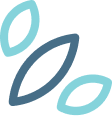 icon bottom rt leaf